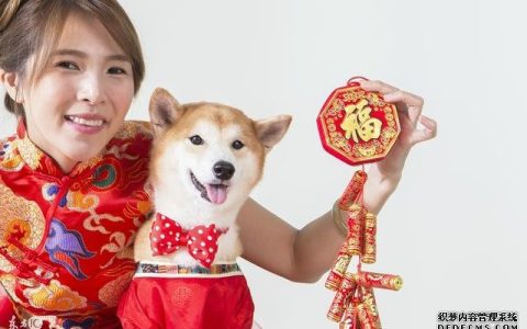 生肖狗八字运势查询-生肖狗运势