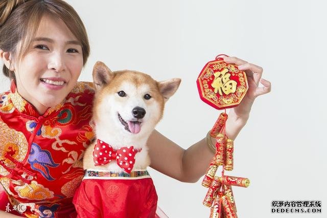 生肖狗八字运势查询-生肖狗运势