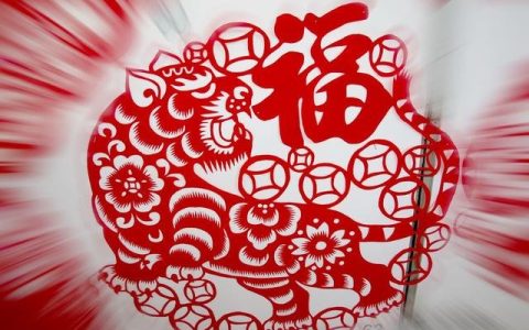 生肖虎八字运势查询-生肖虎运势