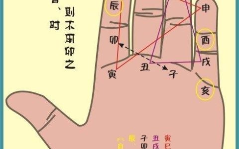 八字算命学习班掌上巧推年月日时干支法！