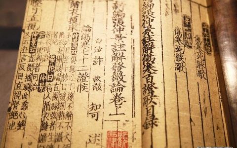 八字算命入门基础知识—地支循藏