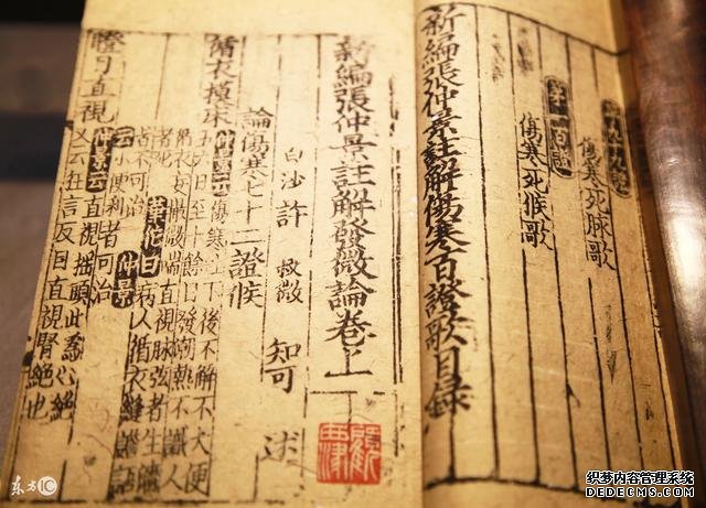 八字算命入门基础知识—地支循藏