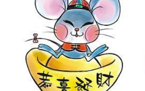 2019年属鼠什么运最好