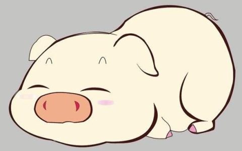 属猪2018年运势及运程