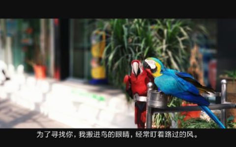 什么八字婚姻最稳定？看八字合婚的这些因素。