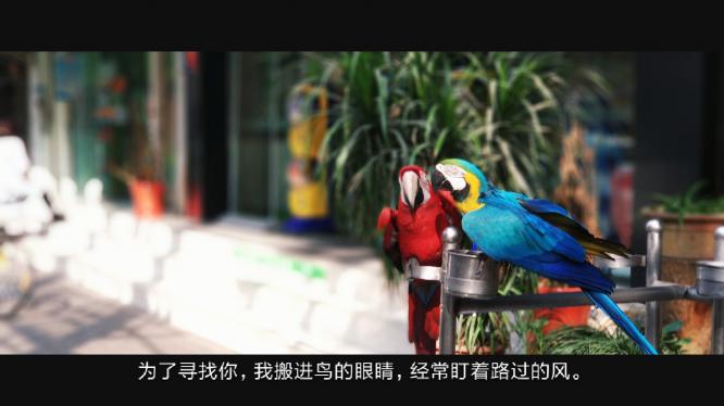 什么八字婚姻最稳定?看八字合婚的这些因素。