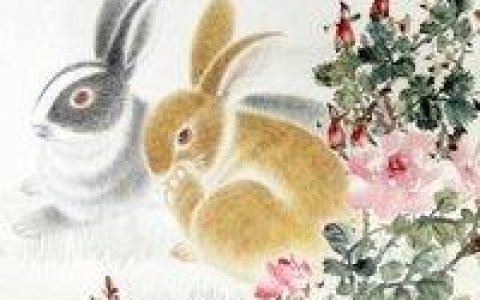 ​属兔的人2019年运程：兢兢业业，积少成多