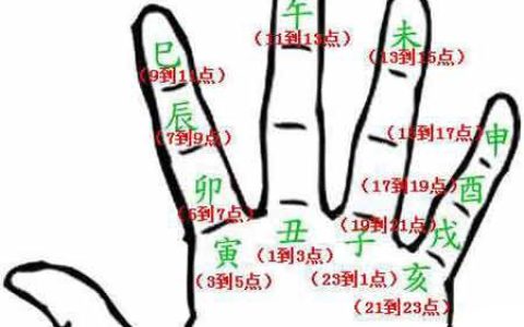 十二地支解析：午