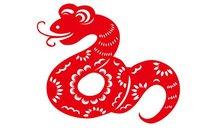 属蛇人的五行都蕴含哪些意思?不同的五行和命运有什么样的关