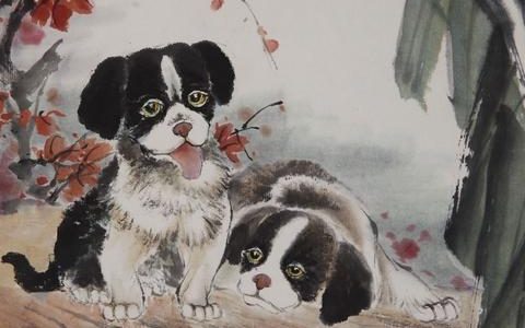 属狗人的五行都蕴含哪些意思？不同的五行和命运有什么样的关