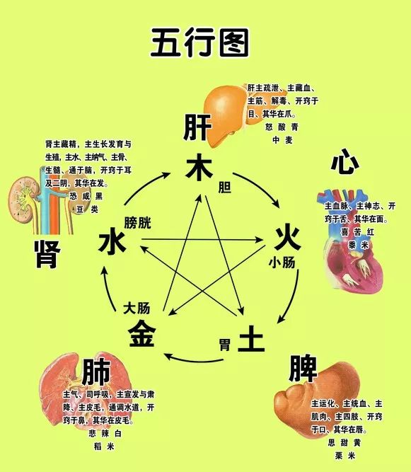 八字命理分析:五行断命,以及不可不看的改运法!