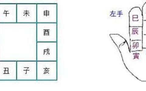 十二地支解析：未