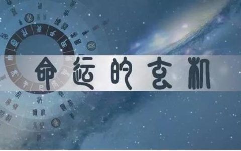 学习八字应该从哪里入手？宝带你了解这些八字术语！