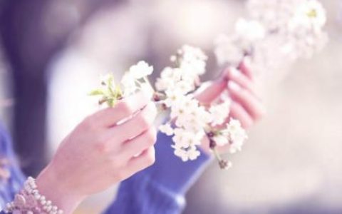 桃花运不好怎么办？怎么根据生肖特点来增旺桃花气场