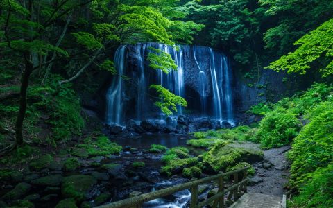 命中无正缘桃花怎么办会没婚姻吗