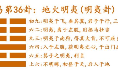 易经第三十六卦地火明夷卦详解