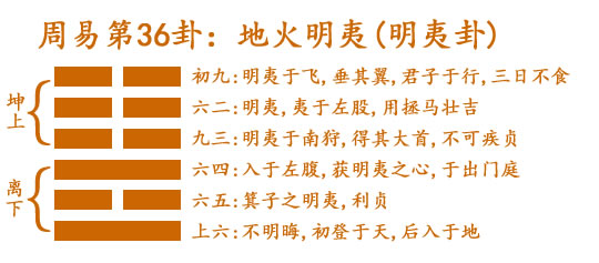 易经第三十六卦地火明夷卦详解