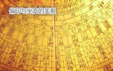 八字比肩与坐支的关系如何？