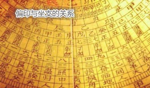 八字比肩与坐支的关系如何？