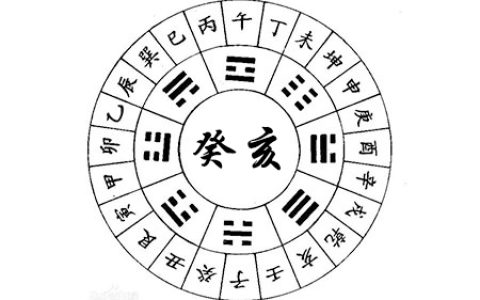癸亥日出生的人八字命运如何?