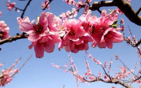 男人催桃花运的9种方法