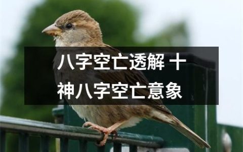 八字空亡透解 十神八字空亡意象