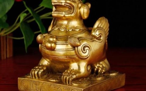 戌土伤官伤尽，地支卯酉戌在一起会怎样？