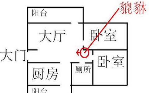 八字夫妻宫被冲代表什么，夫妻宫伤官看另一半家世？