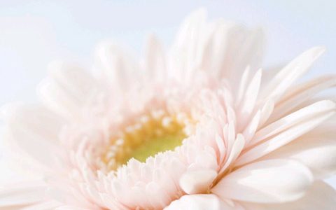 八字胎元是什么意思
