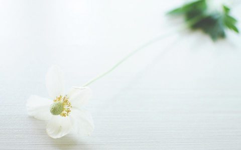 女命八字看老公家境