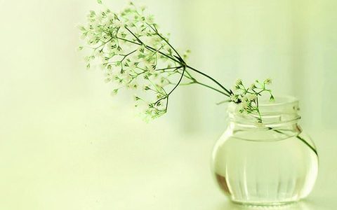 出生年月日时辰算命表