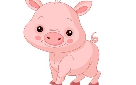 2019年出生的孩子是什么命