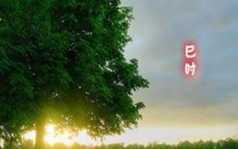 巳时是几点到几点，巳时出生的男女命运