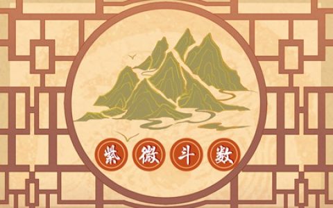 紫微斗数看另一半家世  夫妻宫有紫微天府同守婚后兴家