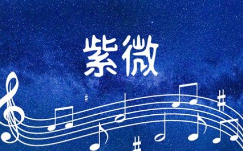 紫微斗数夫妻宫代表什么  可以知道天生感情状况