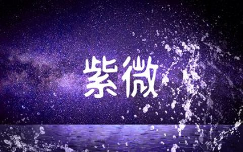 婚姻宫廉贞七杀太可怕了 主夫妻纷争不和