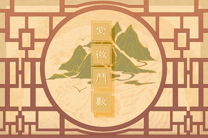 紫微斗数看配偶身高 化禄星入夫妻宫配偶身材较为肉感
