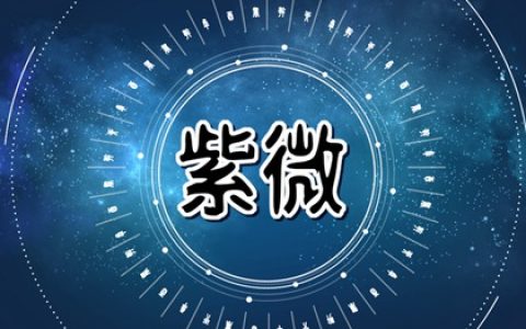 紫微斗数禄忌相冲  命宫化禄迁移宫化忌夫妻分离