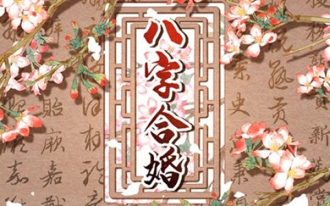 癸卯日柱配偶一定就长得漂亮 癸卯日适合婚配日柱