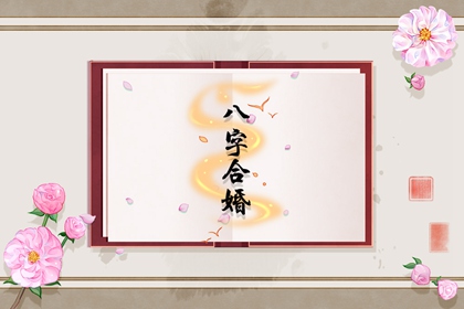 能娶有钱妻子的男人八字 日支坐将星正财旺