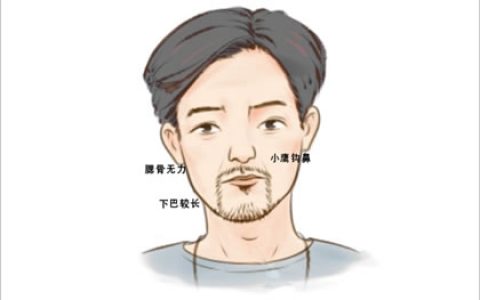 大富大贵的面相女人 圆形头型额头高耸事业运好