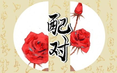 六十甲子婚姻配命 六十甲子看婚姻