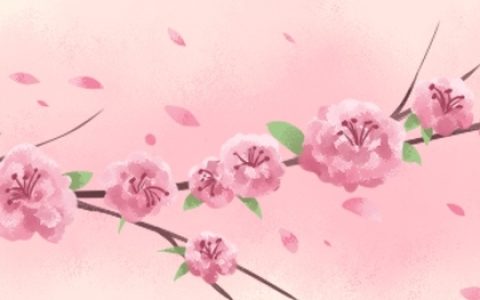 走桃花运是什么意思 什么是烂桃花