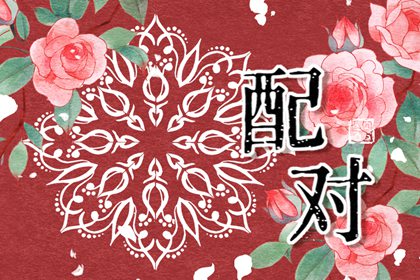 庚午日柱和己亥日柱配吗