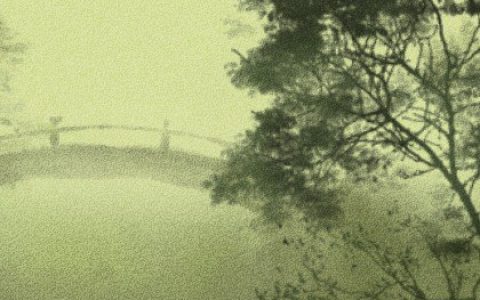 双木夫妻难相合 婚姻详解