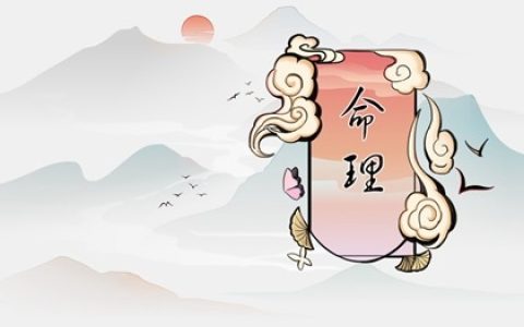 1976年出生的沙中土属龙详解 土命人衰旺解析