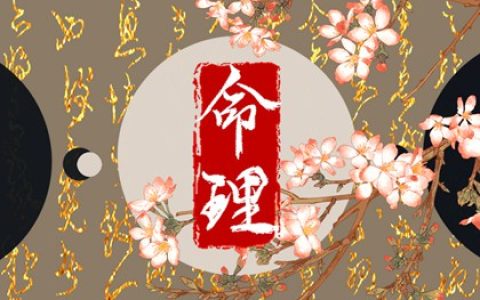 沙中金命人的命运 沙中金命的人运程情况