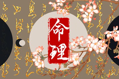 沙中金命人的命运 沙中金命的人运程情况