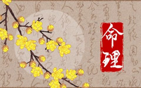 六十甲子沙中土命是什么意思 沙中土命好不好