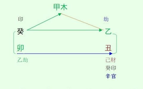 2023癸卯年乙丑1月八字甲木命人运势